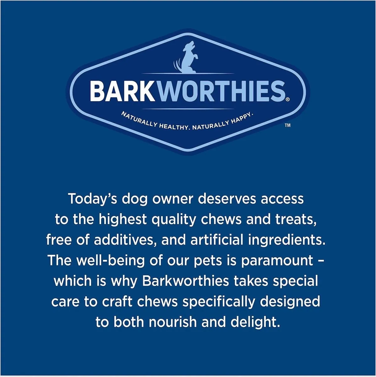 Barkworthies 6 Inch Odor Free Bully For Dogs