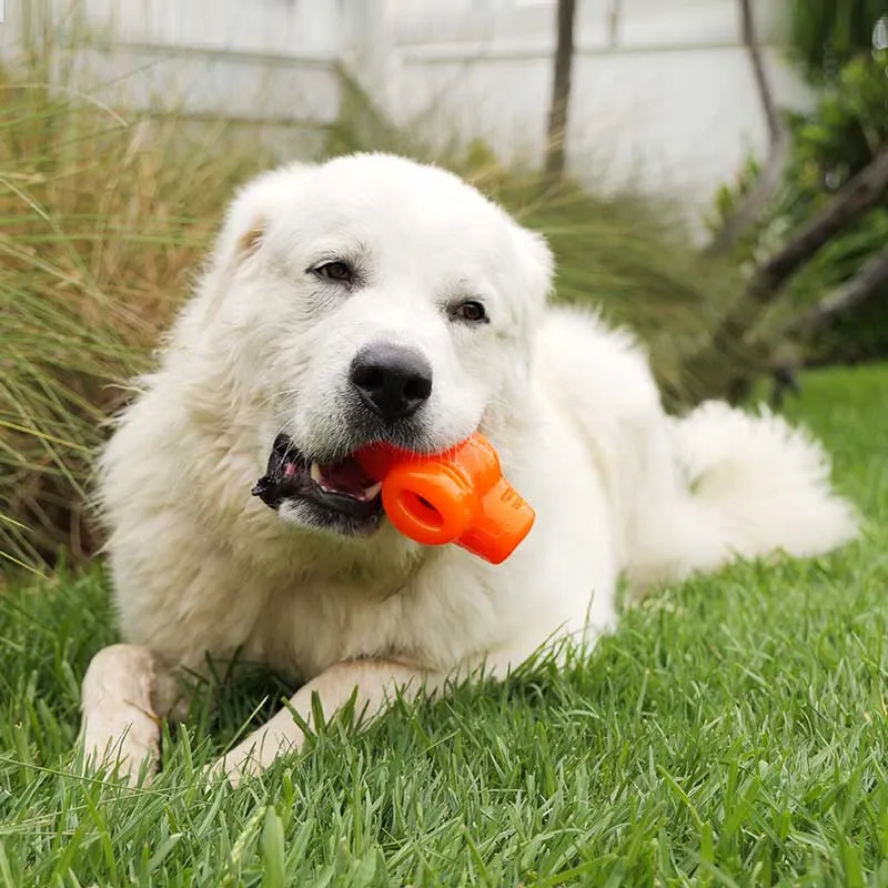 BIONIC Treat Star Dog Toy