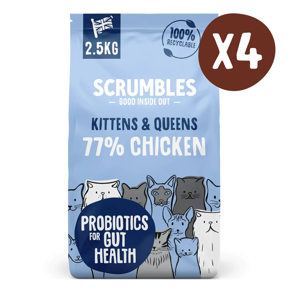 Chicken Dry Kitten Food