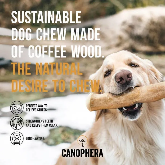 Coffee Wood Dog Chew Stick - S