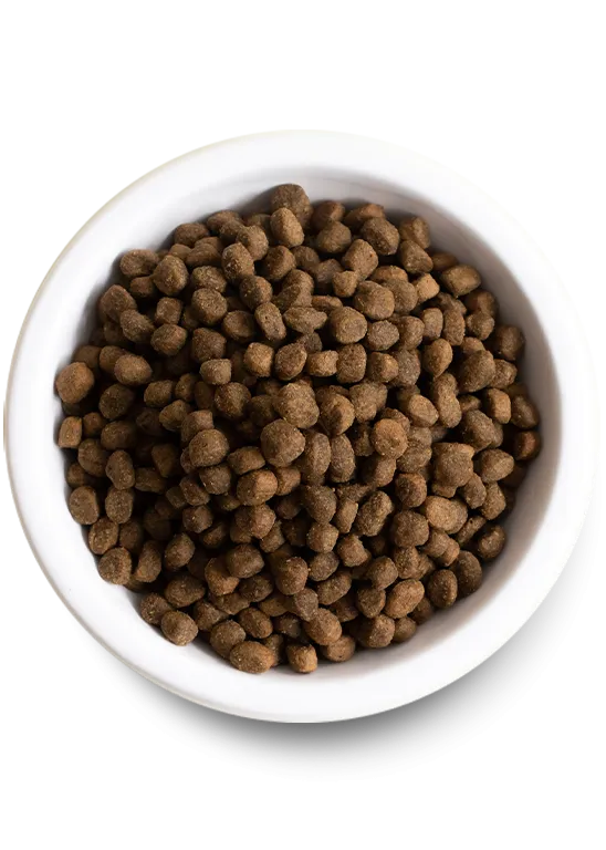 Farmer's Table Pork & Ancient Grains Dry Dog Food