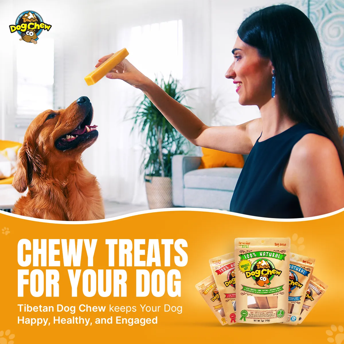 Festive Original Tibetan Dog Chew (Medium) - 12 Sticks