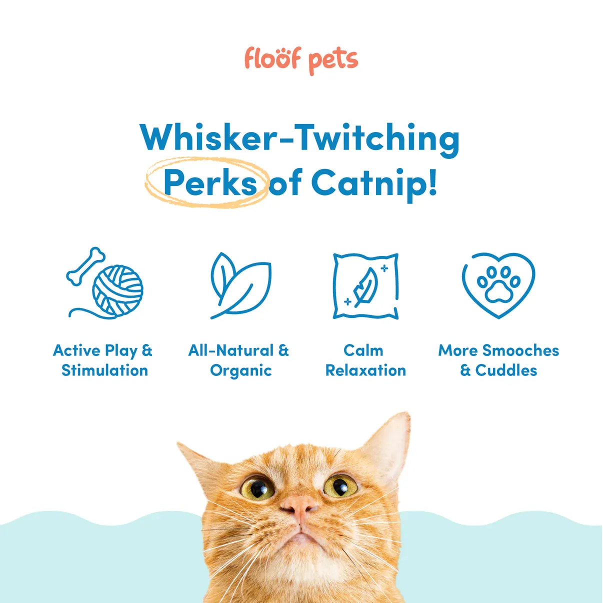 Floof Pets - Organic Catnip 500mL