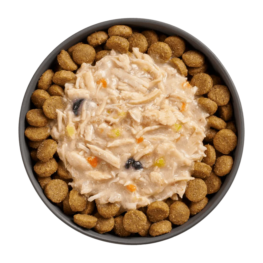 Go! Booster Immune Health Shredded Chicken   Salmon in broth for dogs