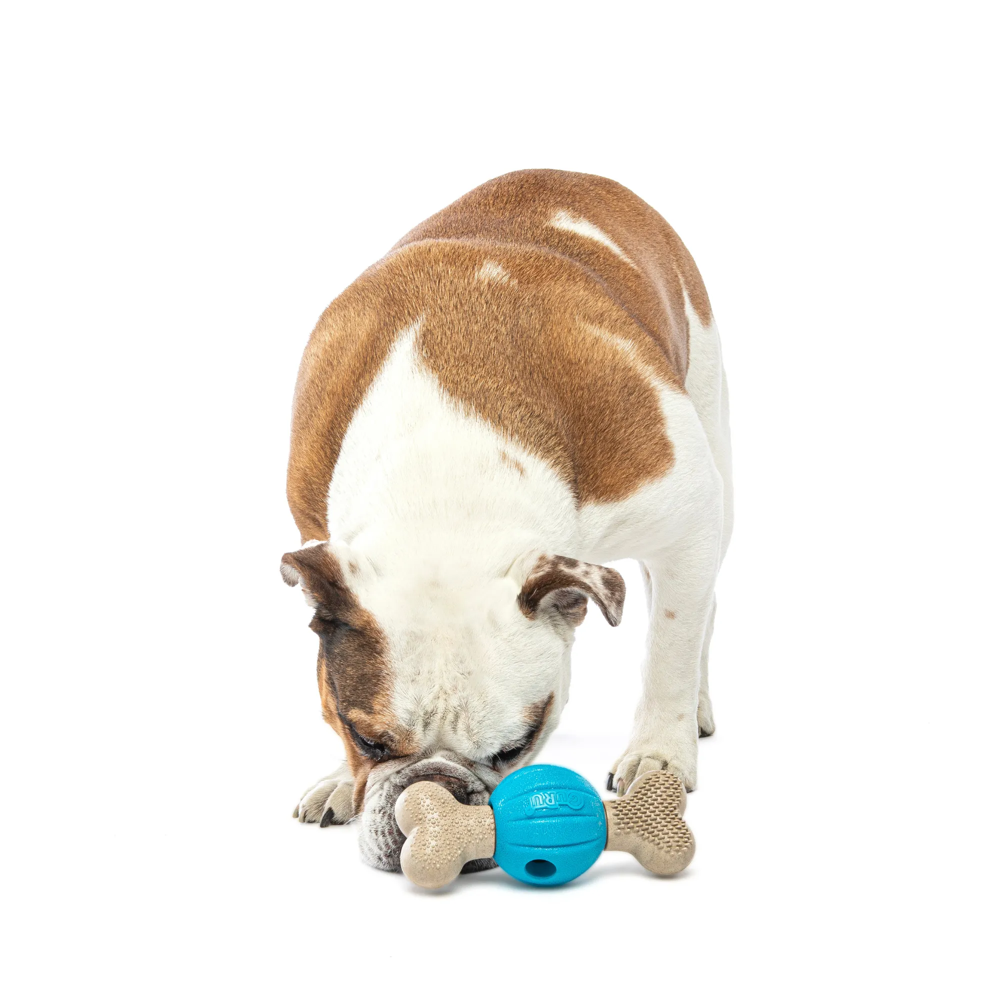 GURU Spin And Chew Treat Bacon Bone Dog Toy Medium