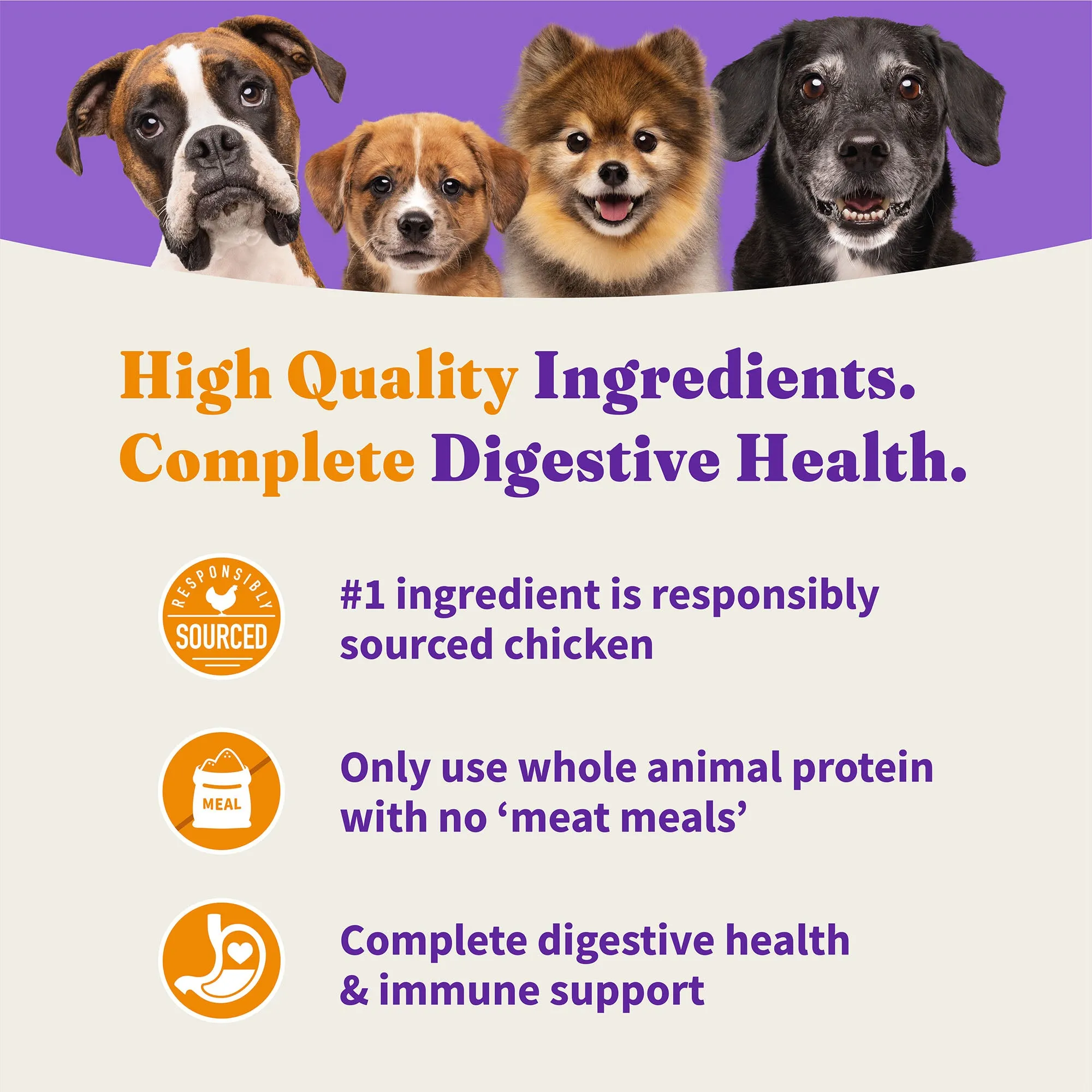 Holistic Cage-Free Chicken & Brown Rice Recipe Adult Dry Dog Food