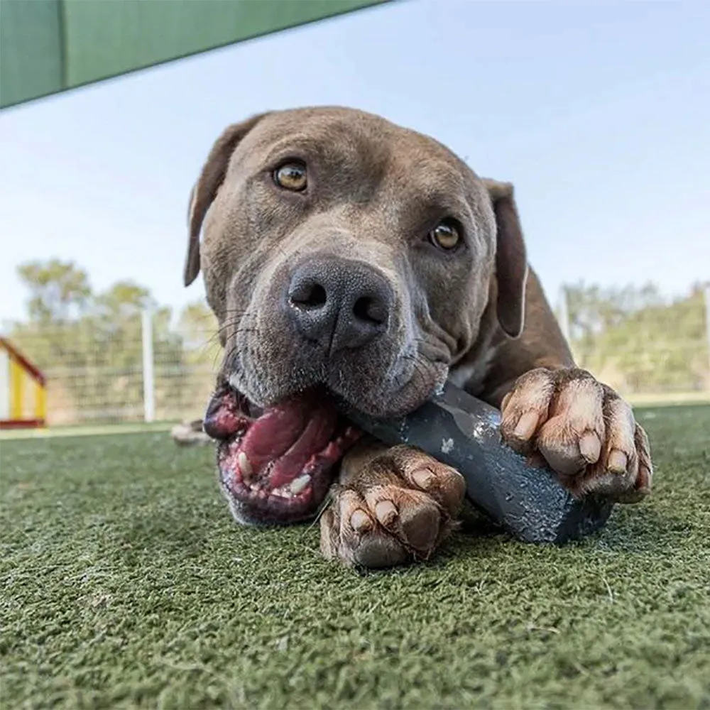 Indestructibone Virtually Indestructible Chew Toy