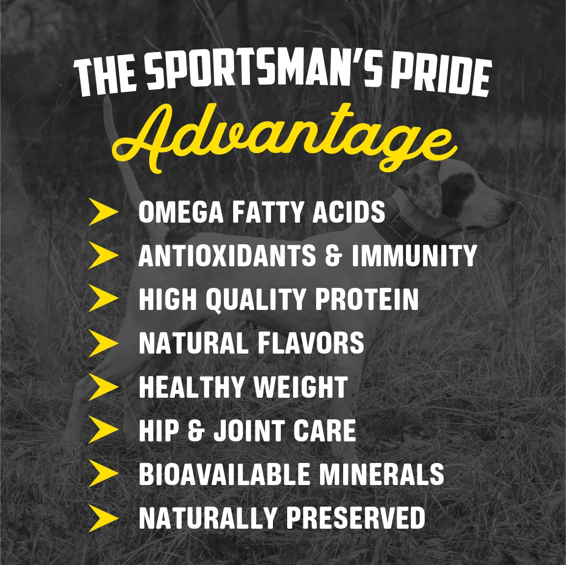 Maintenance Dog Food | 40 LB | Sportsman's Pride