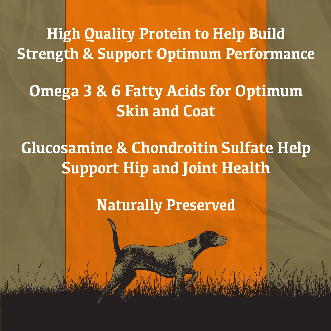 Maintenance Dog Food | 40 LB | Sportsman's Pride