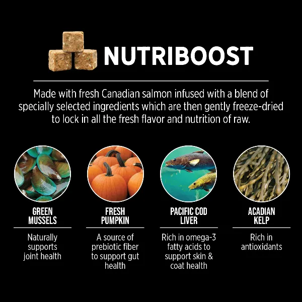 Nutrience SubZero Canadian Pacific High Protein Dry Cat Food