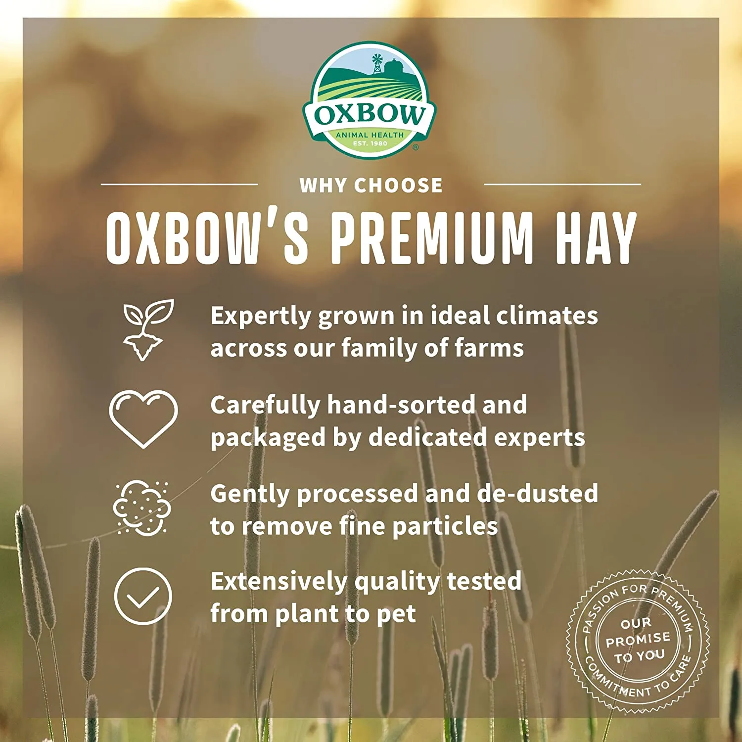 Oxbow - Hay - Orchard Grass