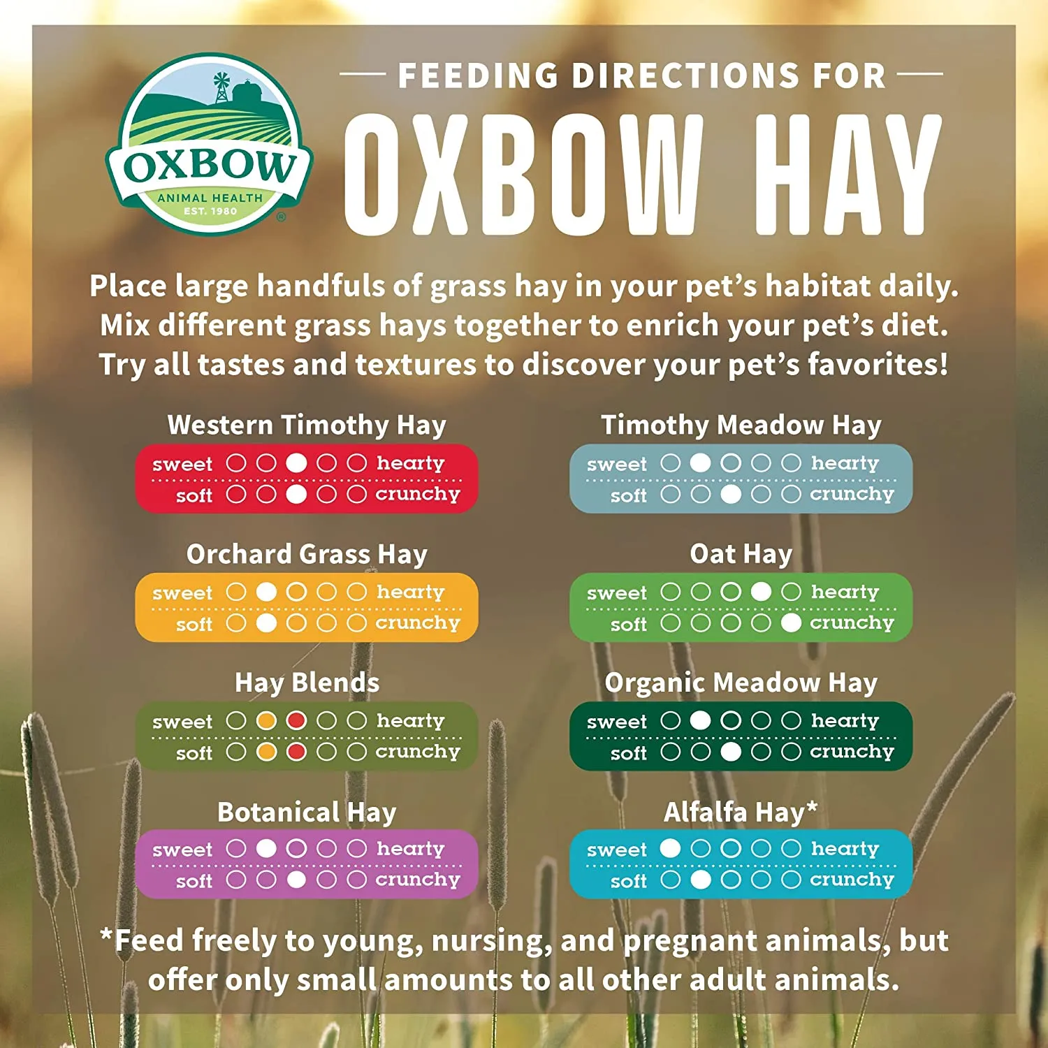 Oxbow - Hay - Orchard Grass