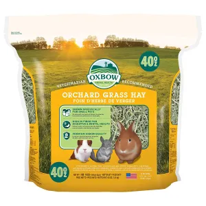 Oxbow Orchard Grass Hay Small Mammal Food 40oz