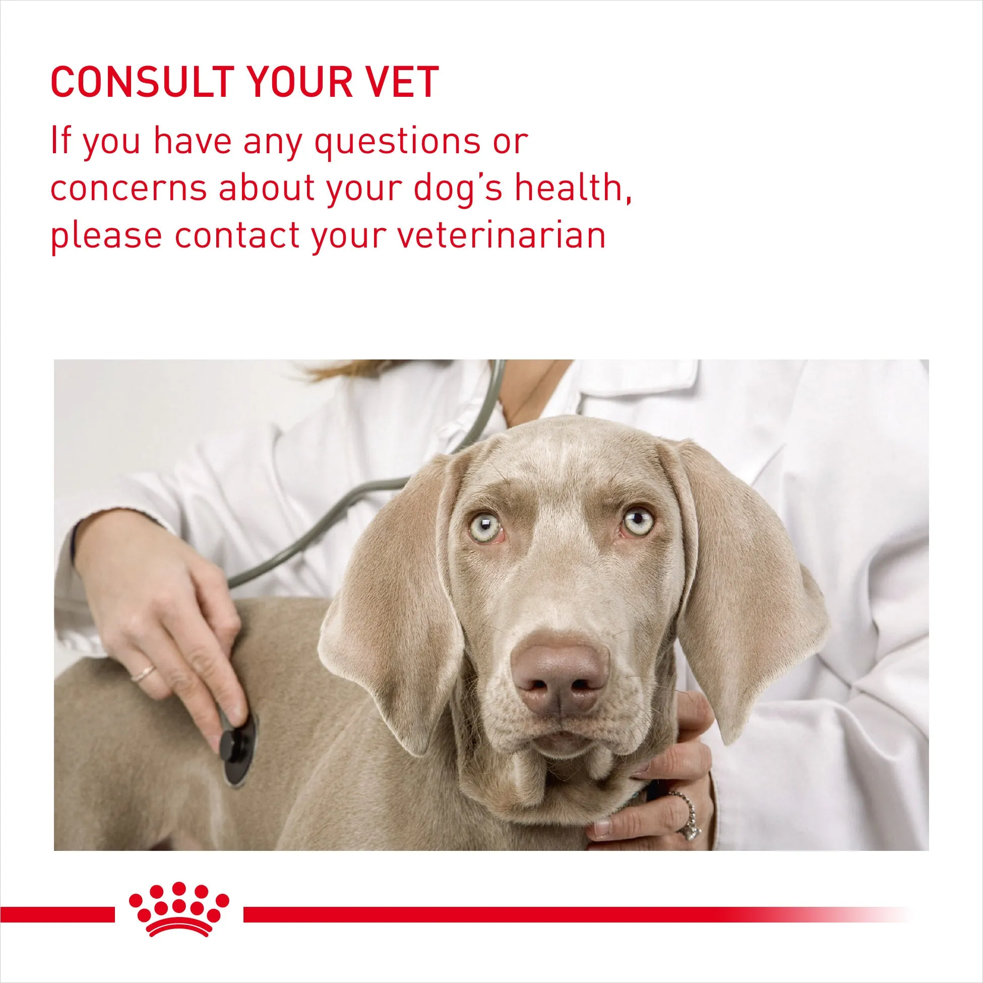 Royal Canin Dog Pouch - Digestive Care