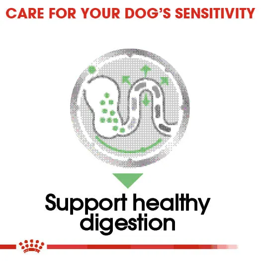 Royal Canin Dog Pouch - Digestive Care