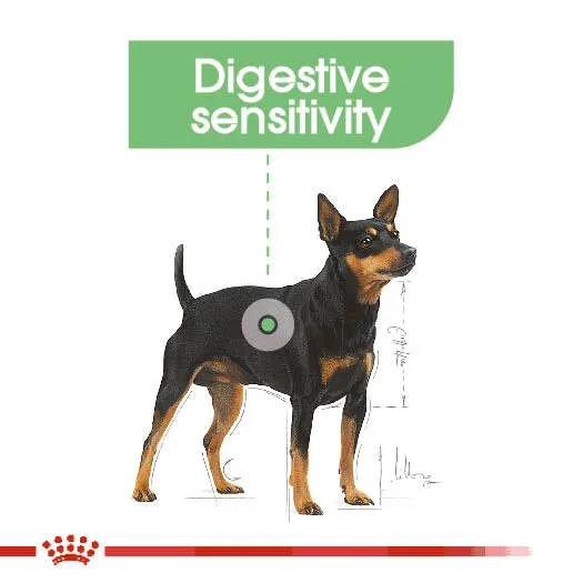 Royal Canin Dog Pouch - Digestive Care