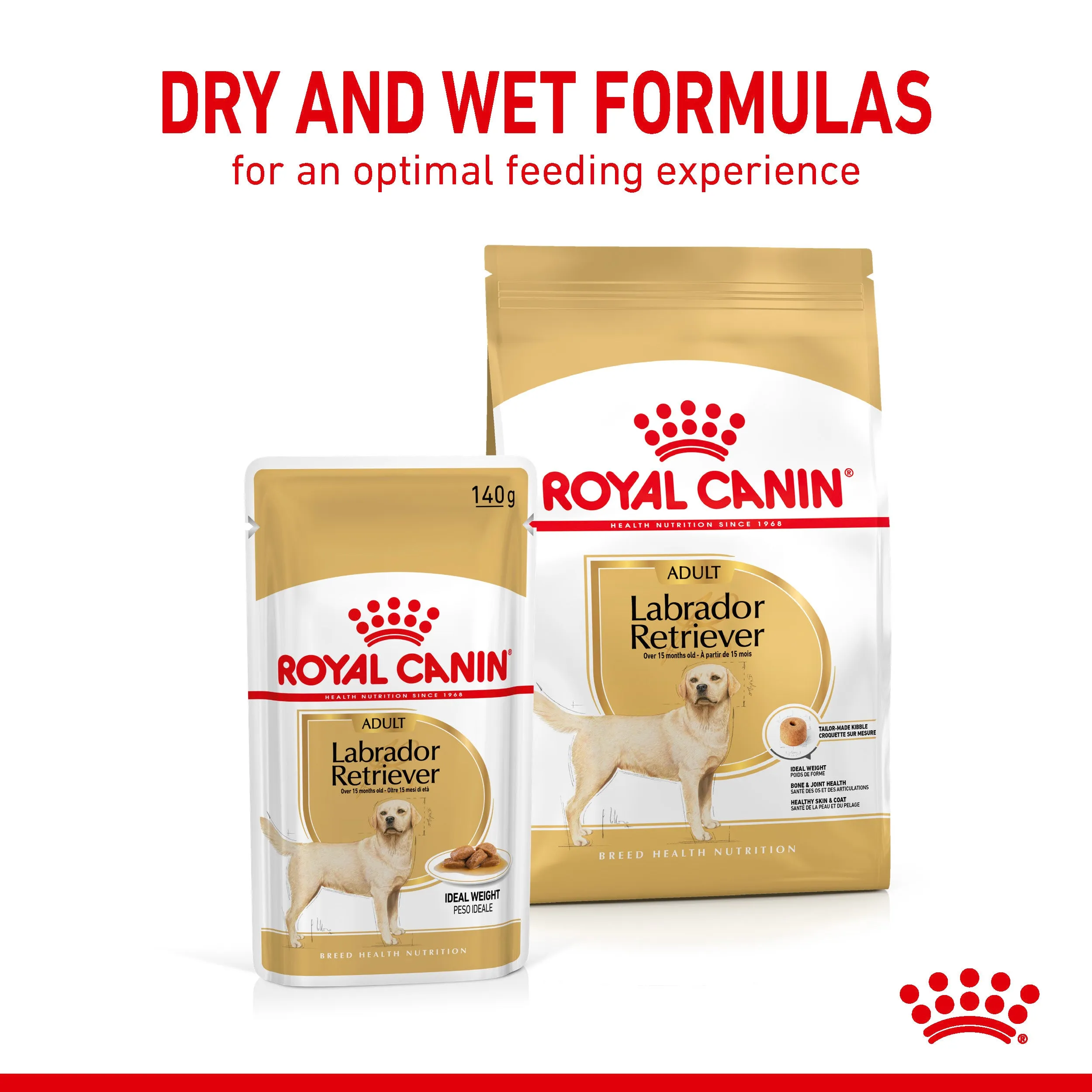 Royal Canin Dog Pouch - Labrador Retriever