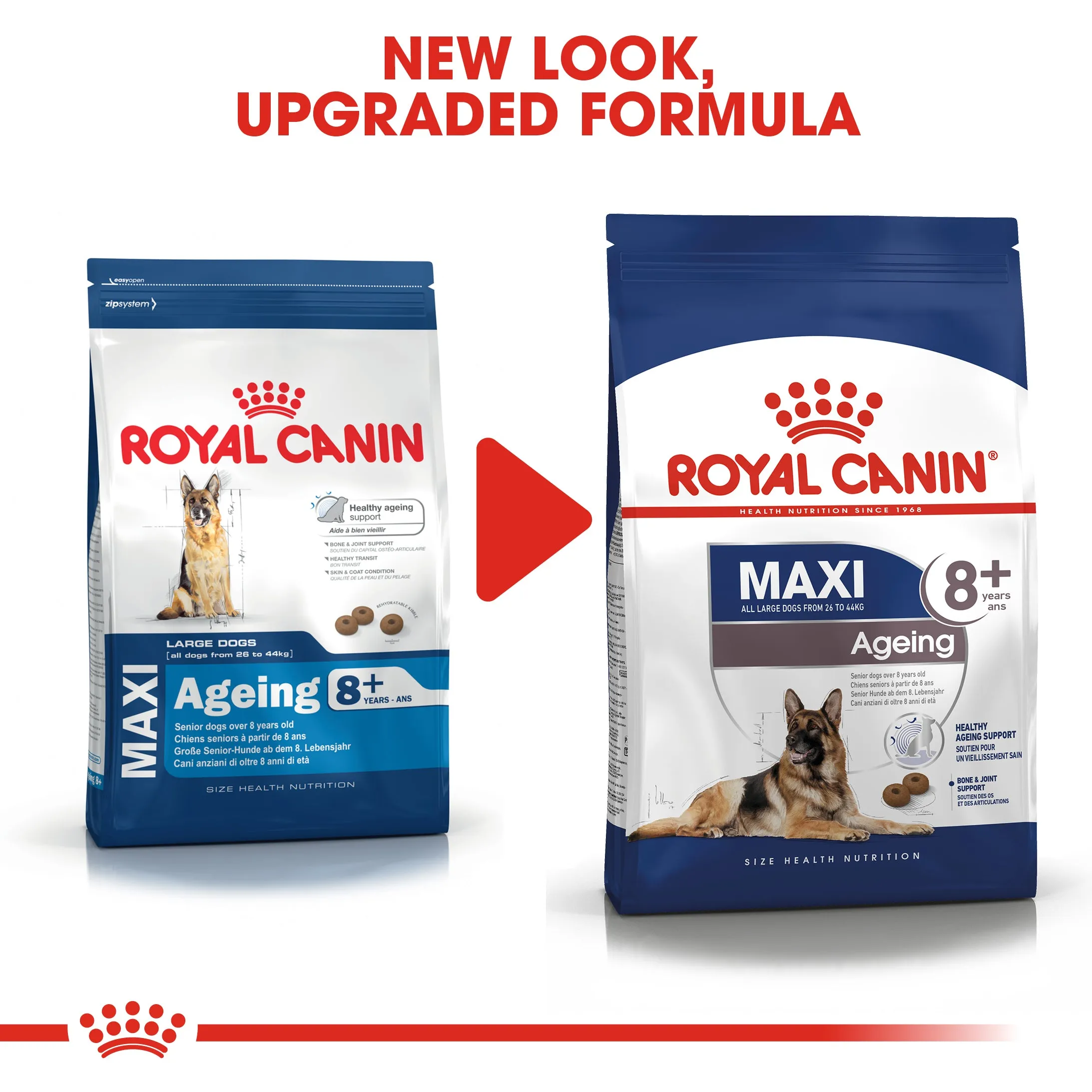 Royal Canin Maxi Ageing 8 