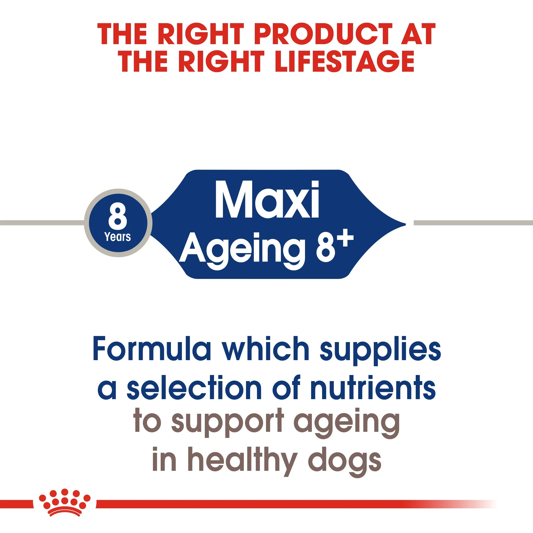 Royal Canin Maxi Ageing 8 