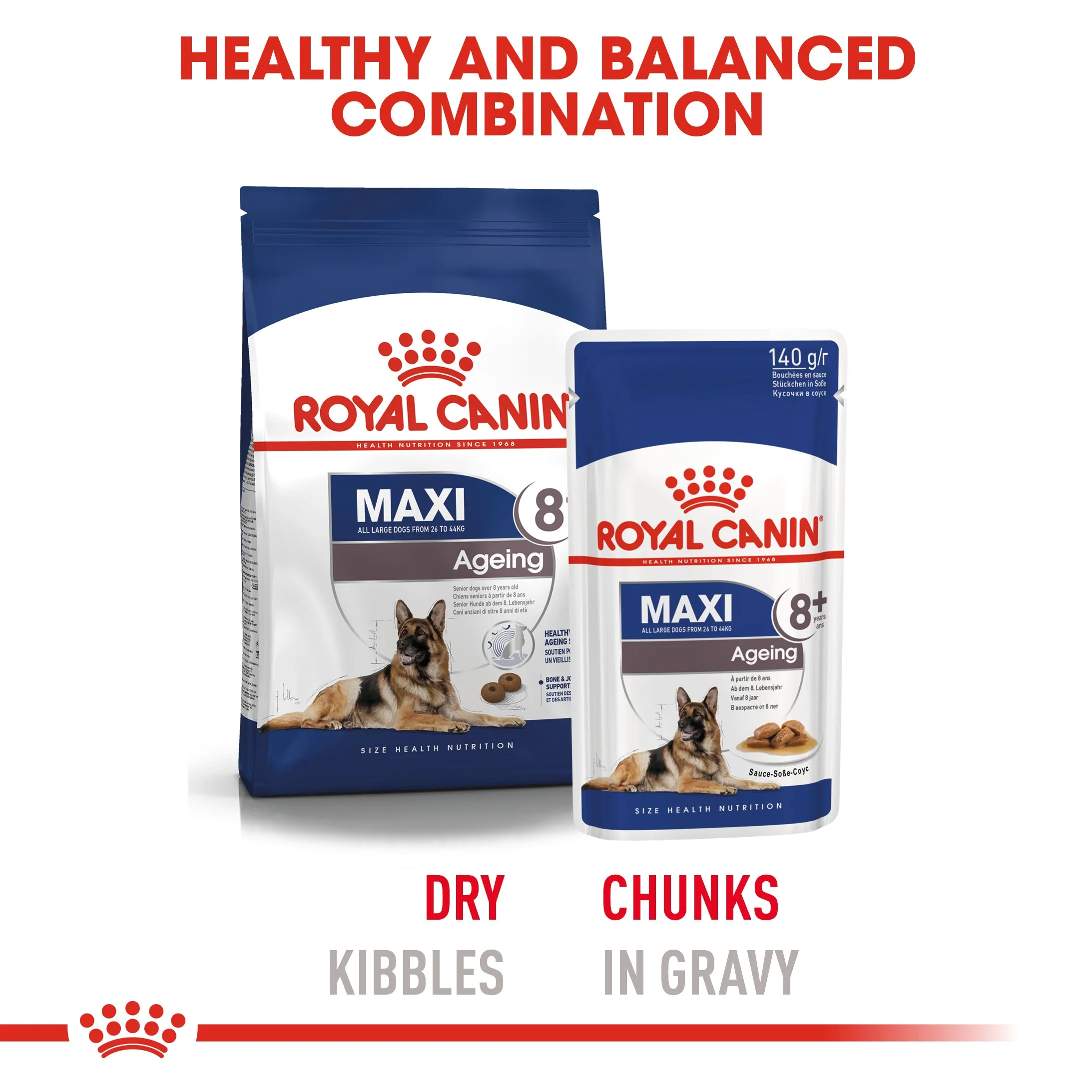 Royal Canin Maxi Ageing 8 