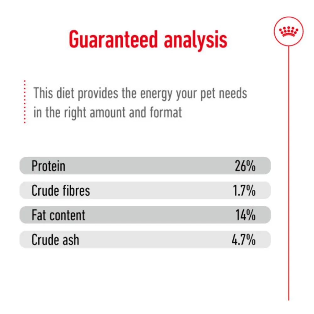 Royal Canin Medium Ageing 10 