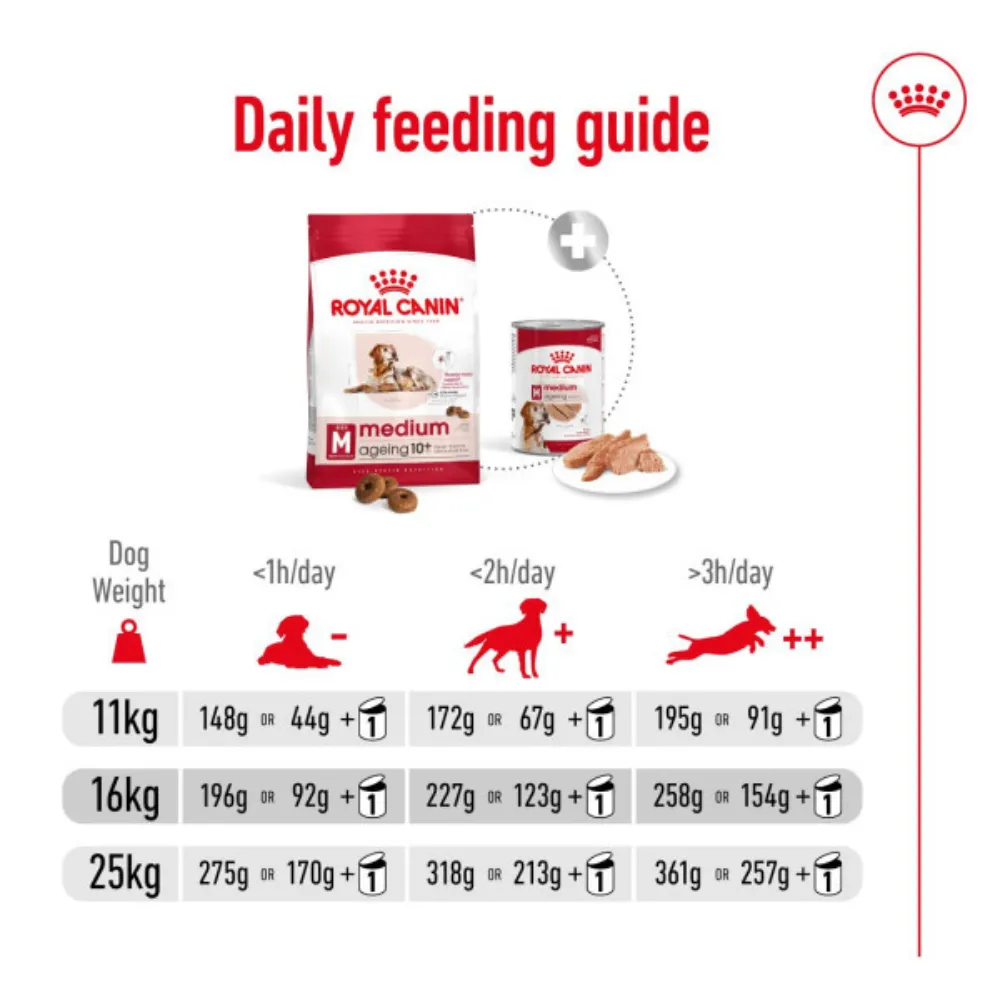 Royal Canin Medium Ageing 10 