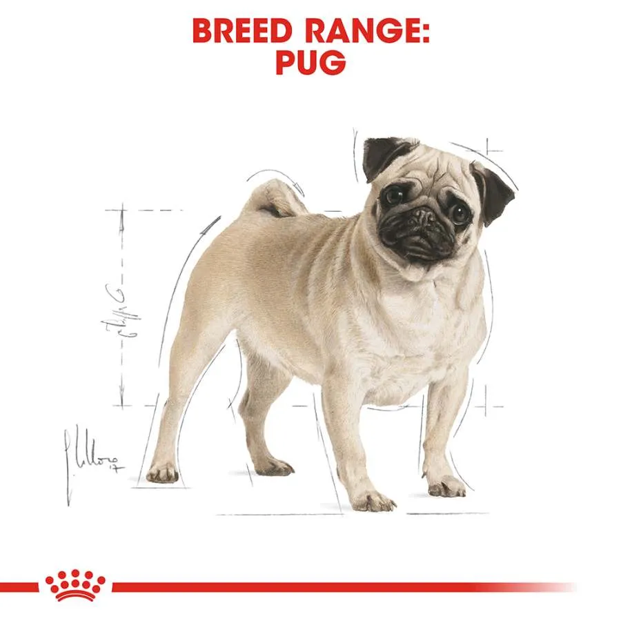 Royal Canin Pug Adult Dry Dog Food