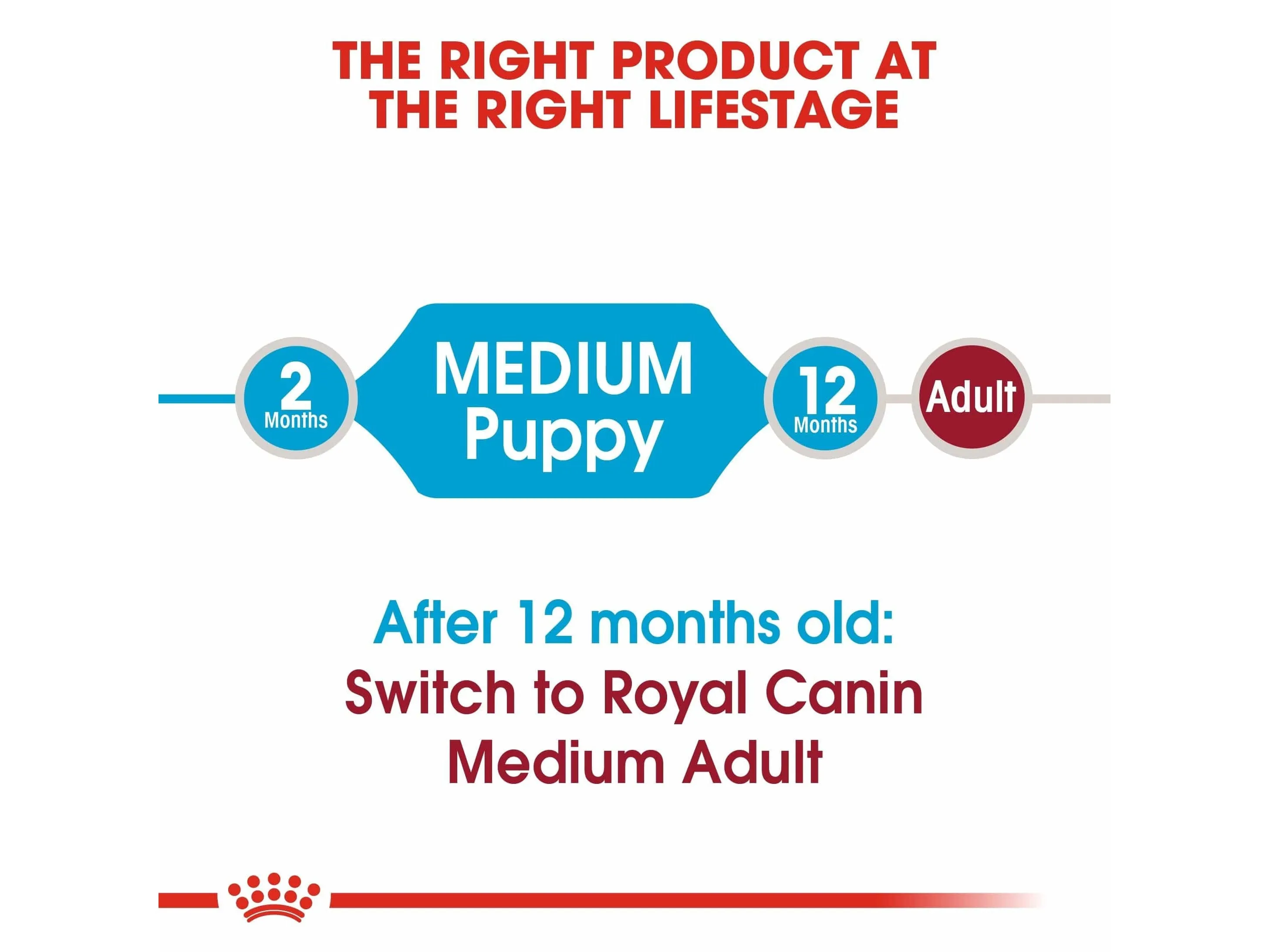 Size Health Nutrition Medium Puppy 4 KG