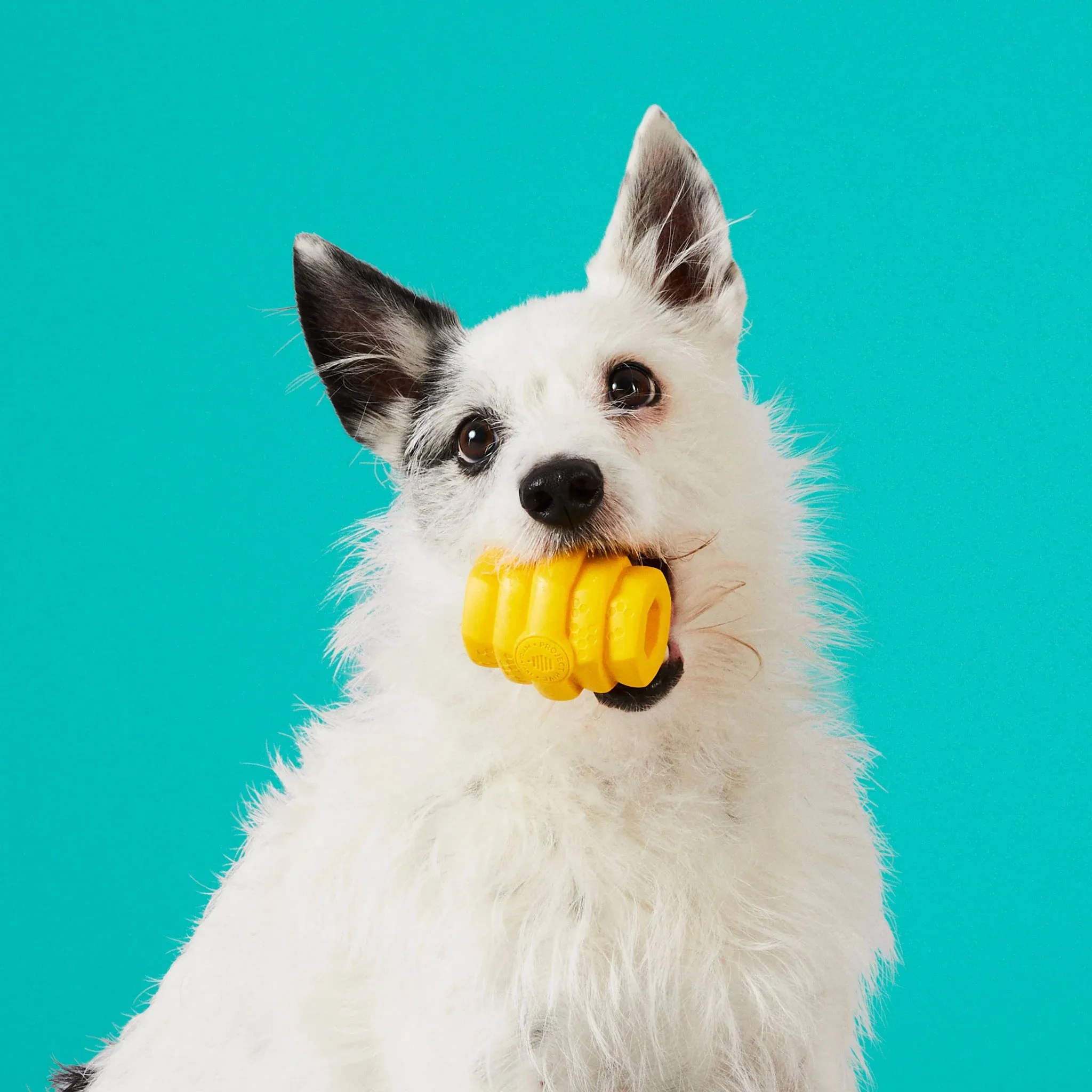 Small Hive Treat Dispenser & Enrichment Toy for Dogs