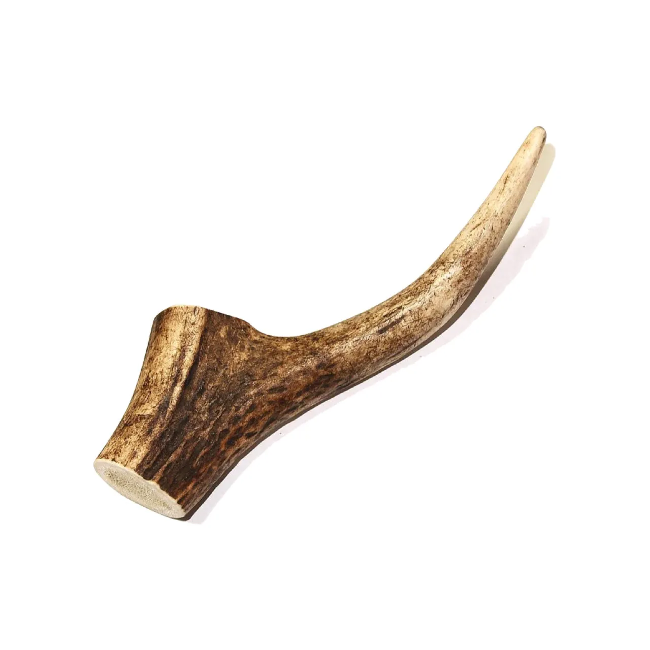 Tuesday's Natural Dog Royal Brown Deer Antler Whole