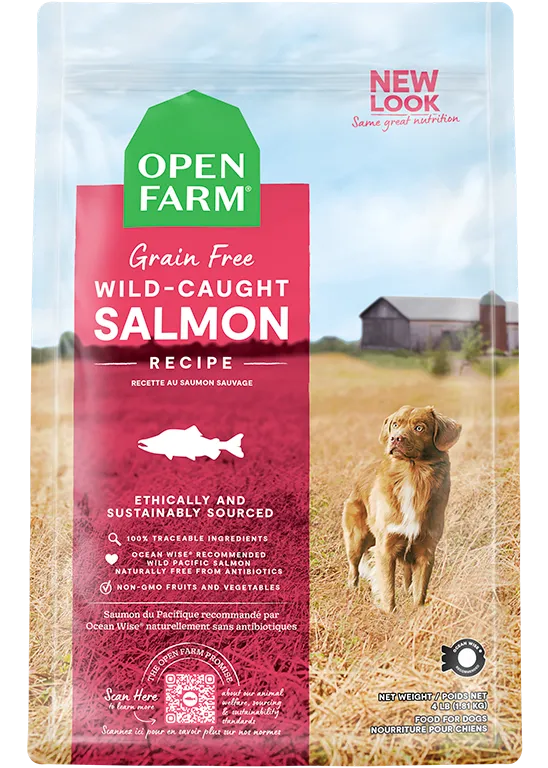 Wild-Caught Salmon Grain-Free Dry Dog Food